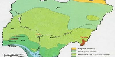 Зураг нигери харагдаж байгаа ургамлын