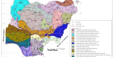 Зураг нигери харагдаж байгаа ургамлын янз бүрийн бүс