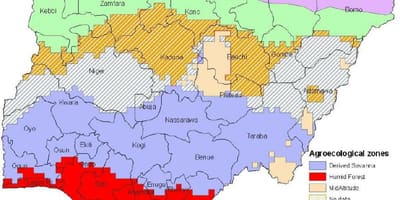 Зураг нигери харагдаж байгаа экологийн бүс