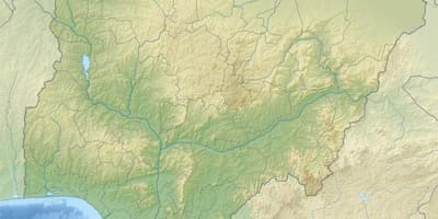 Зураг зурах халамжийн нигери